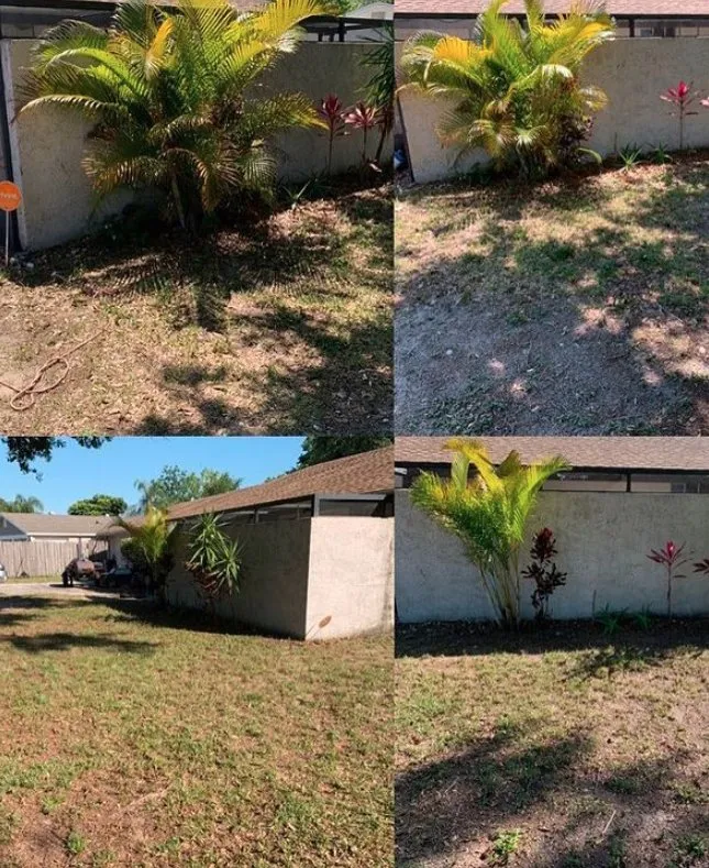 Local landscaping services for outdoor upgrades in Tampa Bay, FL by Samir Baker’s Landscape