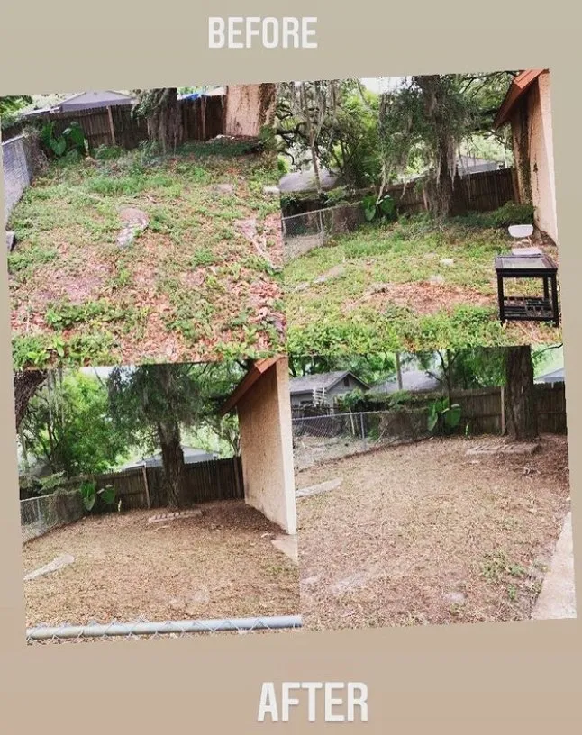 Affordable outdoor landscaping in Tampa Bay, FL - Samir Baker’s Landscape