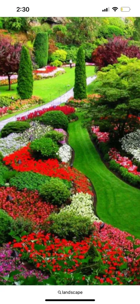 Local lawn mowing service in Detroit, MI by Samir landscape