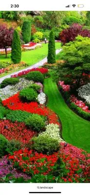 Samir landscape Logo