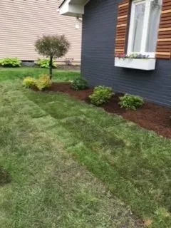 Trusted yard maintenance experts serving Chicago, IL - Samir Quality Landscaping