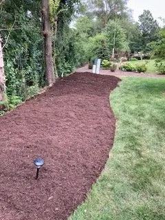 Reliable yard cleanup service experts serving Chicago, IL - Samir Quality Landscaping