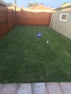 Local outdoor landscaping for year-round maintenance across Chicago, IL - Samir Quality Landscaping