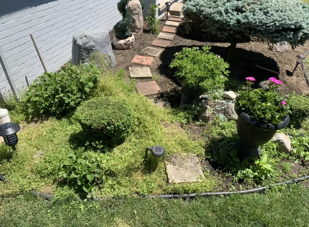 Custom lawn mowing service in Tonawanda, NY - Sami’s Power Washing & Lawn Service