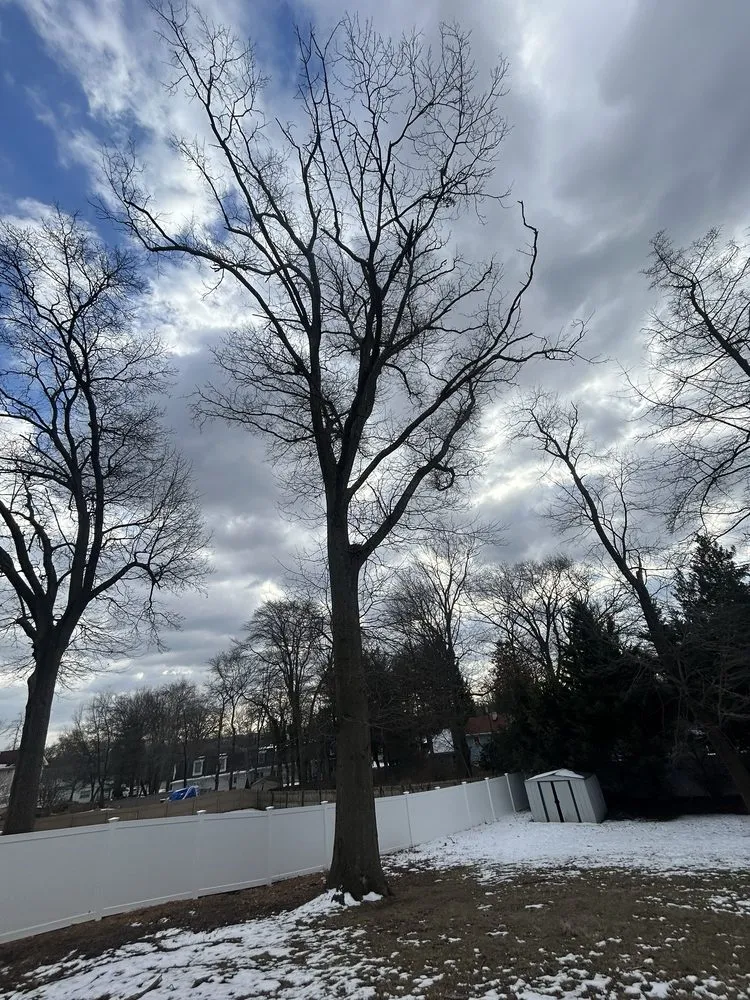 Professional outdoor landscaping near you in Middlesex, NJ by Sami's Tree Service