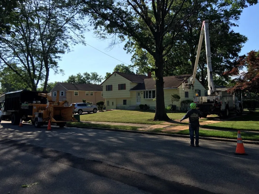 Professional landscape design experts serving Middlesex, NJ - Sami's Tree Service