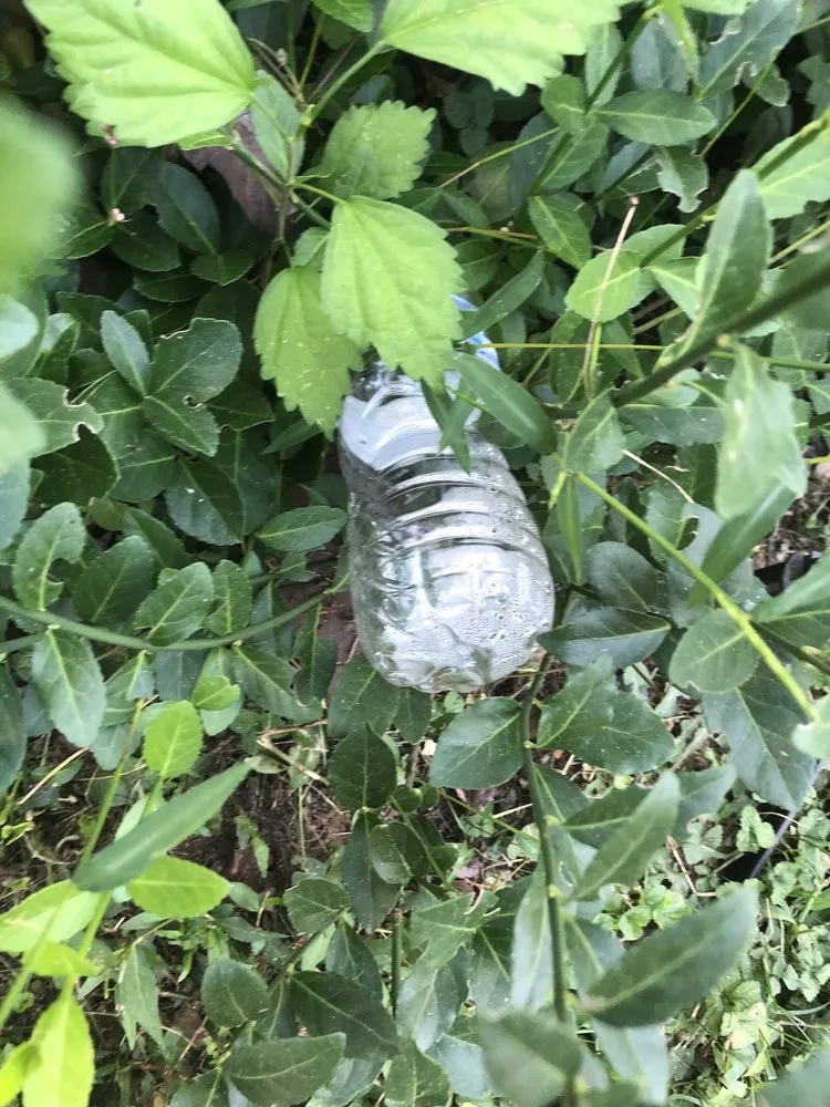 Local outdoor landscaping in Middlesex, NJ - Sami's Tree Service