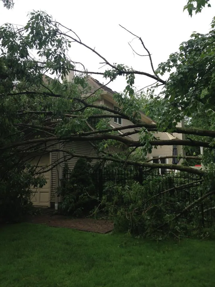 Local landscape design for year-round maintenance across Middlesex, NJ - Sami's Tree Service