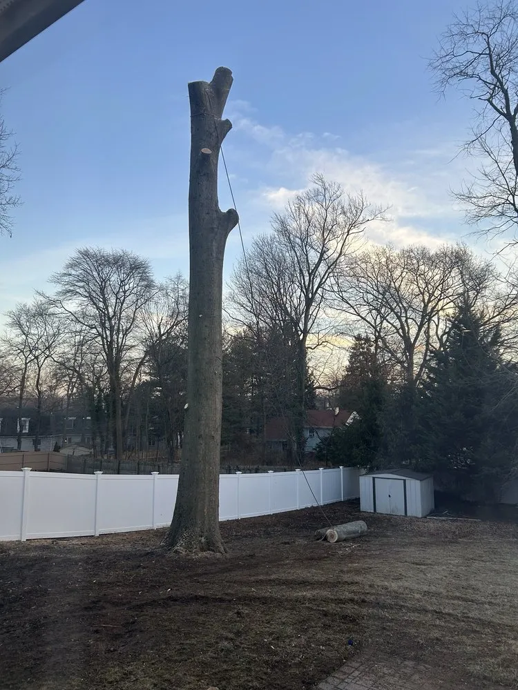 Expert landscape installation experts serving Middlesex, NJ - Sami's Tree Service