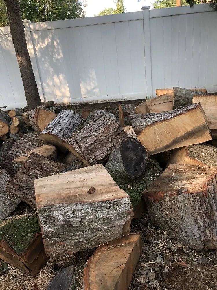 Affordable outdoor landscaping for outdoor upgrades in Middlesex, NJ by Sami's Tree Service