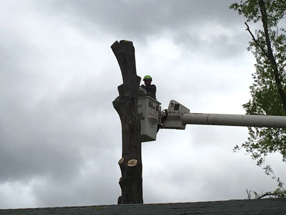 Professional garden landscaping for outdoor upgrades in Middlesex, NJ by Sami's Tree Service