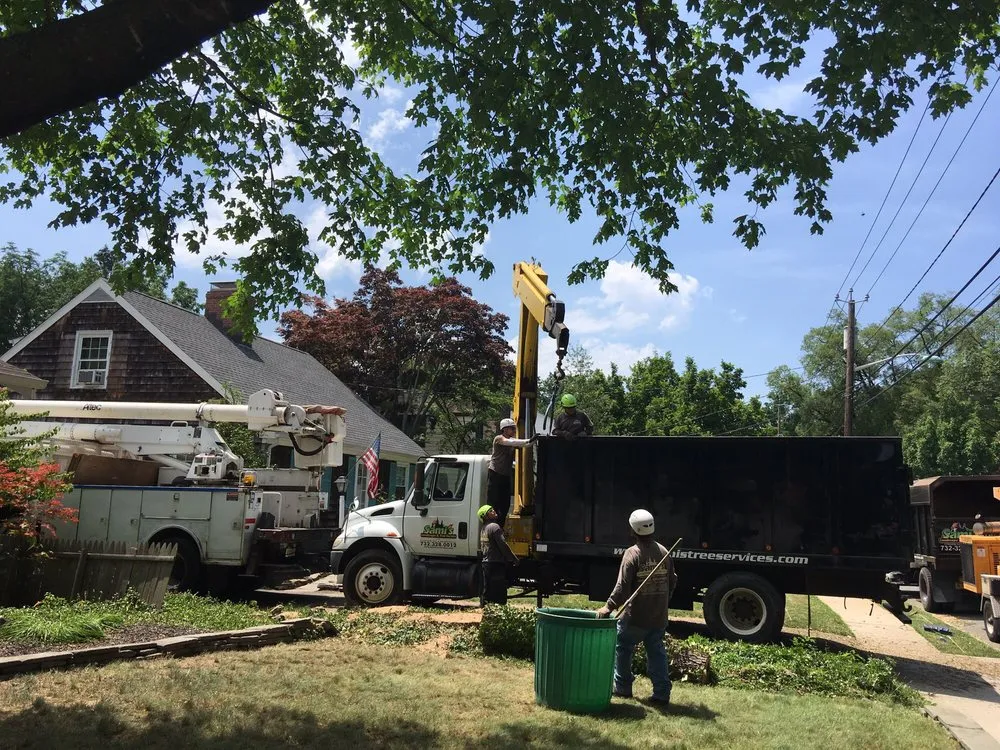 Local lawn mowing service for homes in Middlesex, NJ by Sami's Tree Service