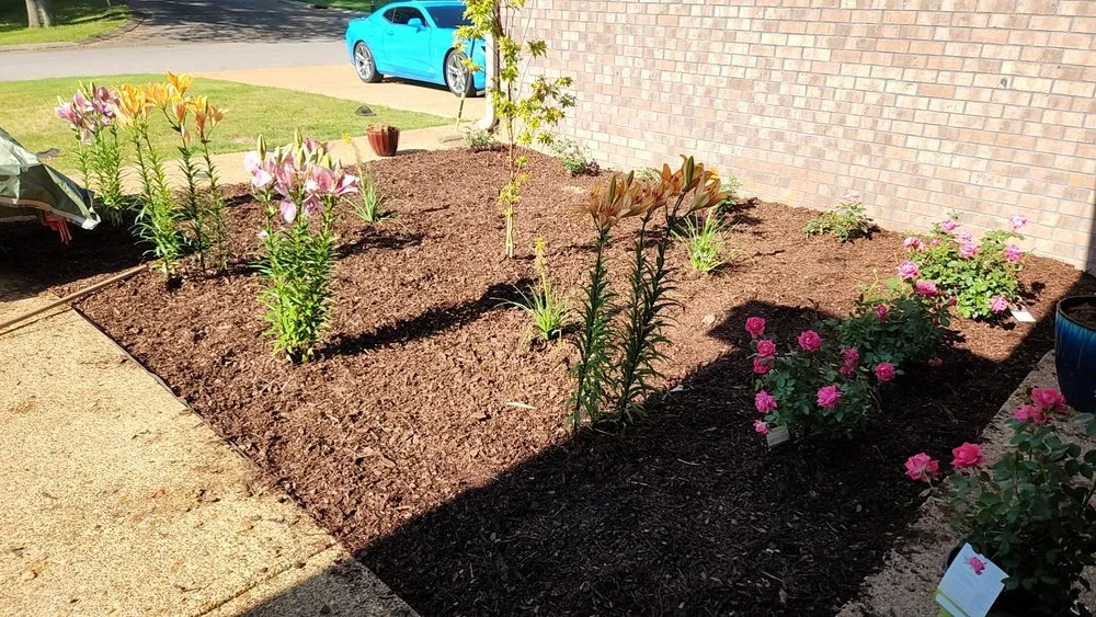 Trusted garden landscaping for residential properties across Greenfield, TN - Sammie Ray's Landscaping and More