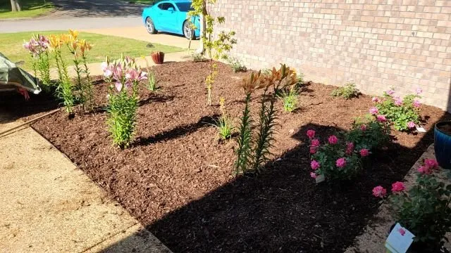 Trusted lawn mowing service for outdoor upgrades across Greenfield, TN - Sammie Ray's Landscaping and More