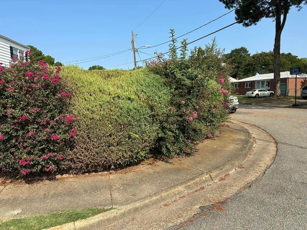 Affordable landscape installation in Newport News, VA by Sammie’s Vision of Landscaping