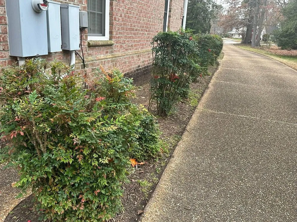 Expert garden landscaping for residential properties across Newport News, VA - Sammie’s Vision of Landscaping