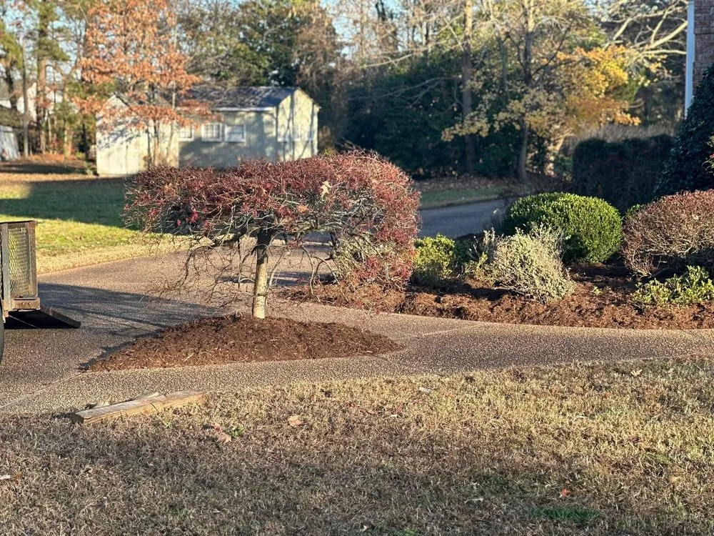 Professional lawn mowing service in Newport News, VA - Sammie’s Vision of Landscaping