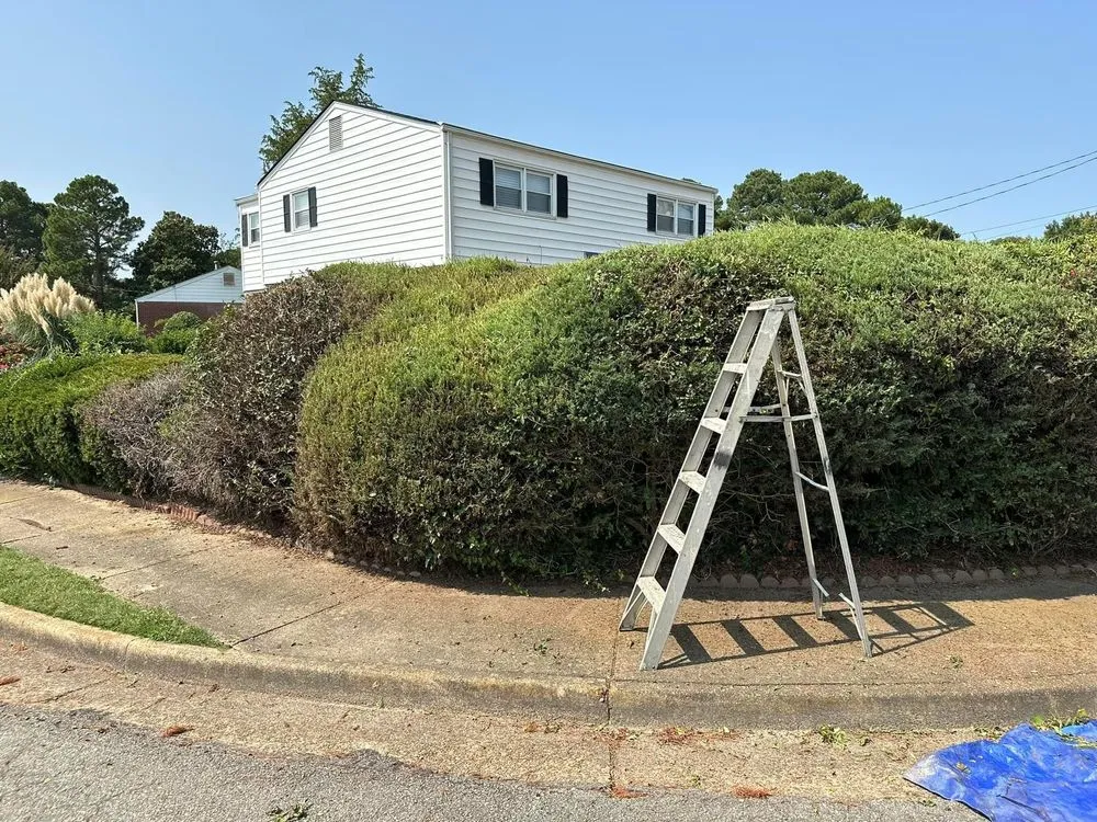 Top-rated outdoor landscaping near you across Newport News, VA - Sammie’s Vision of Landscaping