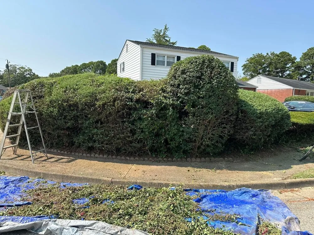 Local yard cleanup service in Newport News, VA - Sammie’s Vision of Landscaping