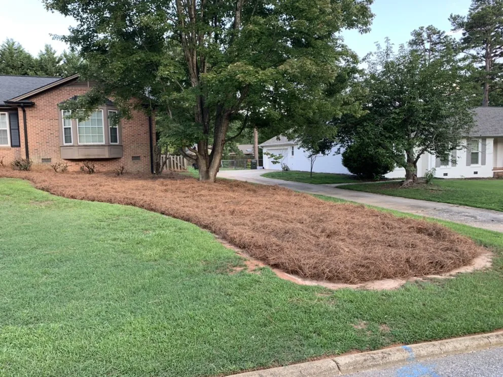 Local outdoor landscaping for beautiful yards in Taylors, SC by Sammons Lawn Care