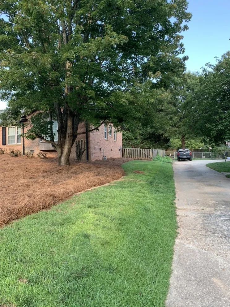 Top-rated residential landscaping in Taylors, SC - Sammons Lawn Care