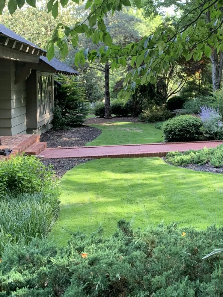 Reliable yard maintenance experts serving Taylors, SC - Sammons Lawn Care