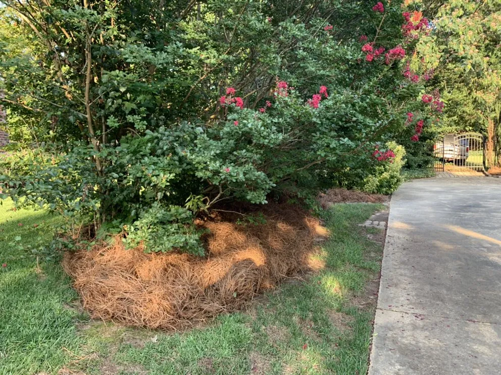 Affordable yard cleanup service for homes in Taylors, SC by Sammons Lawn Care