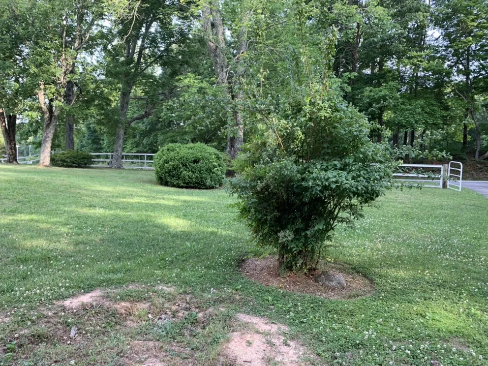 Expert garden landscaping with custom design across Taylors, SC - Sammons Lawn Care