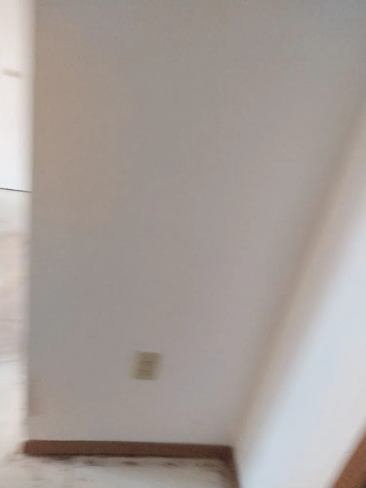 Affordable lawn care service in Bismarck, ND by Sammy B & Company