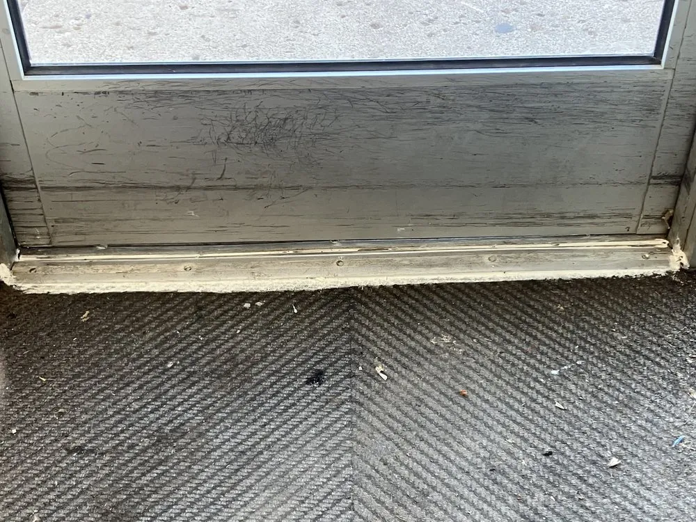 Top-rated lawn care service experts serving Bismarck, ND - Sammy B & Company