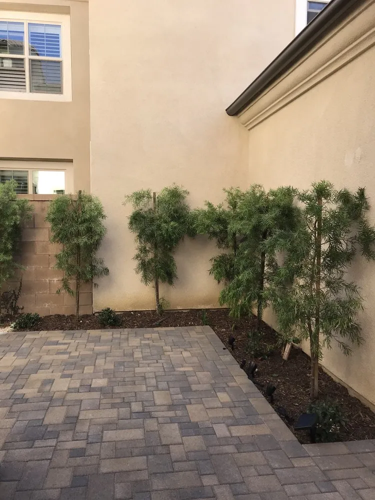 Affordable landscaping services in Temecula, CA by Sammy Outdoor Design