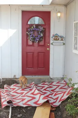 Sammy Outdoor Design Logo