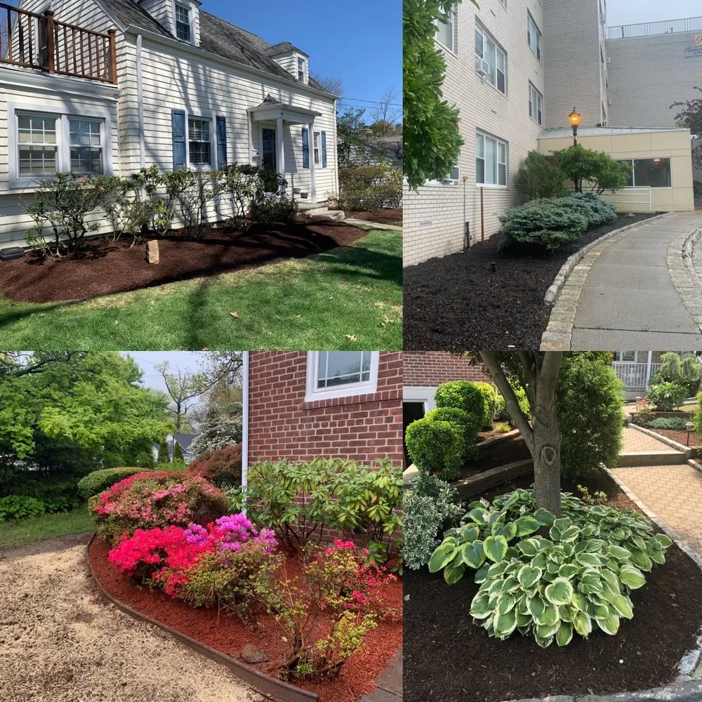 Top-rated landscape installation for homes in New Rochelle, NY by Sammy’s Landscaping