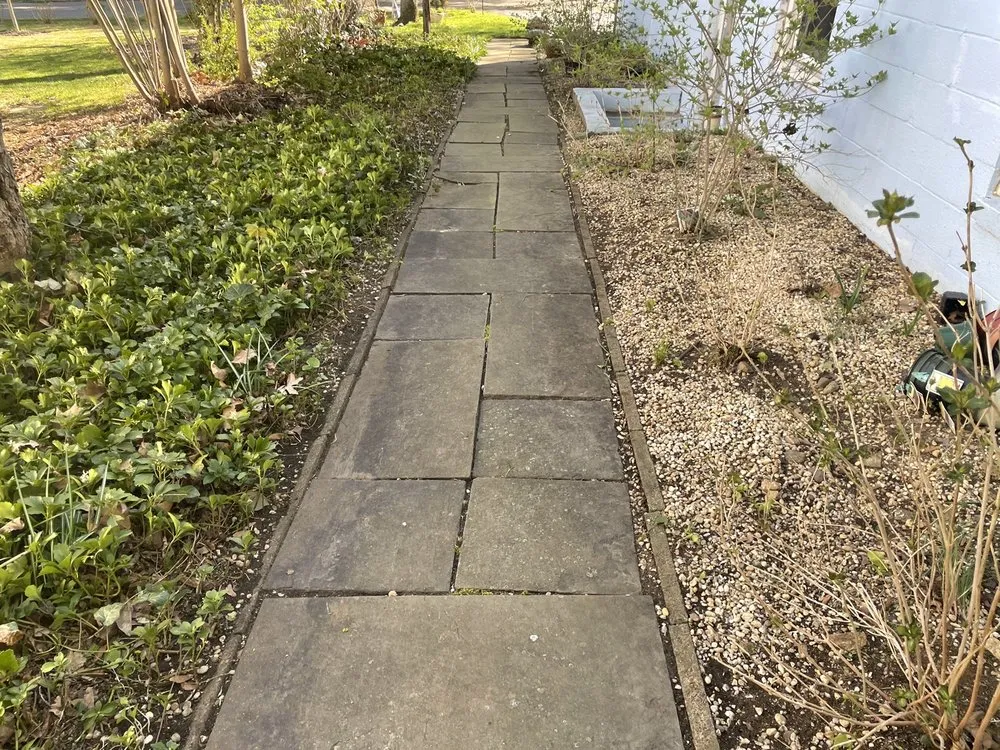 Local landscape design for residential properties across New Rochelle, NY - Sammy’s Landscaping