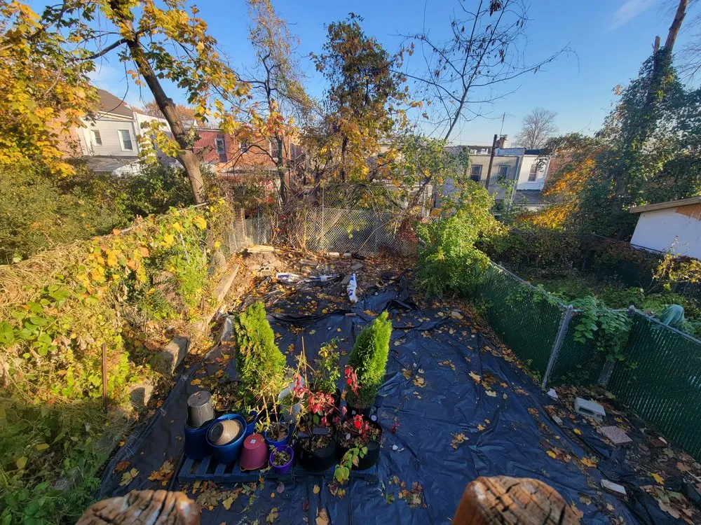 Affordable landscape design for year-round maintenance across New Rochelle, NY - Sammy’s Landscaping