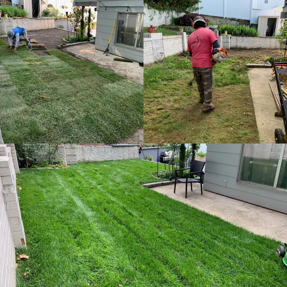 Custom landscape installation for beautiful yards in New Rochelle, NY by Sammy’s Landscaping