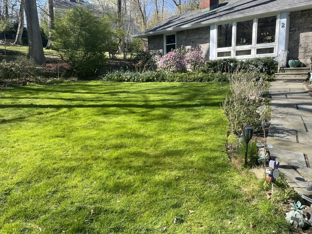 Trusted lawn mowing service experts serving New Rochelle, NY - Sammy’s Landscaping