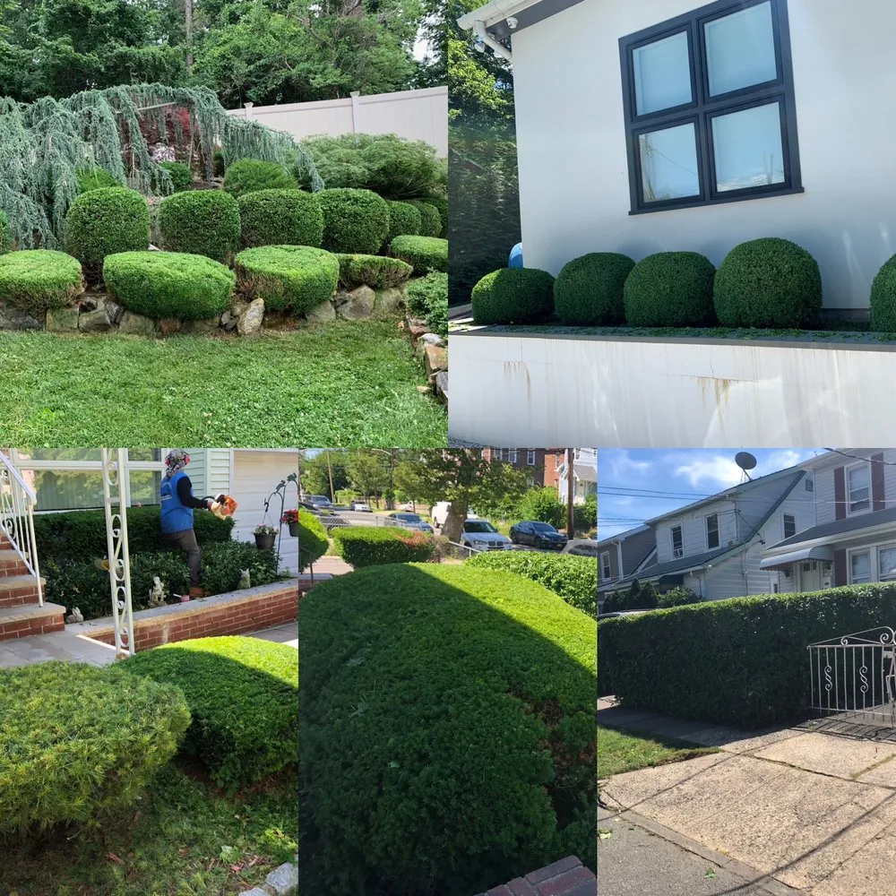 Custom garden landscaping experts serving New Rochelle, NY - Sammy’s Landscaping