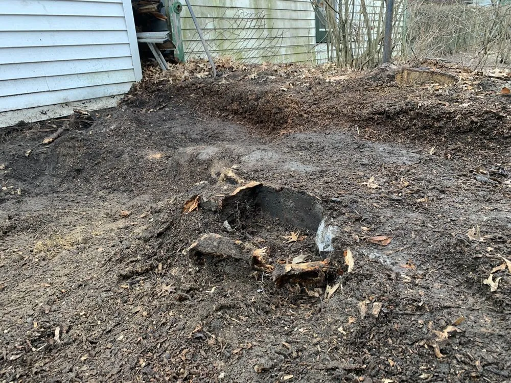 Local yard cleanup service in New Rochelle, NY by Sammy’s Landscaping