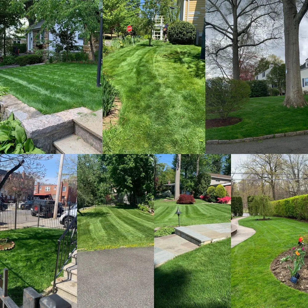 Professional landscape installation experts serving New Rochelle, NY - Sammy’s Landscaping
