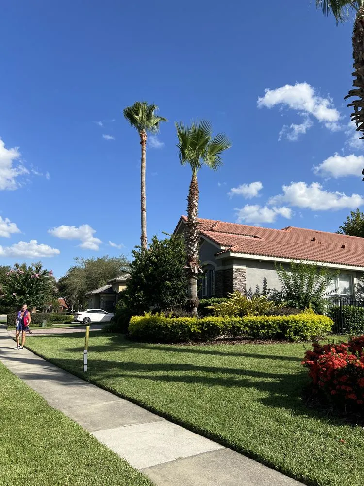 Reliable landscaping services in Windermere, FL by Sammy's Landscaping Services