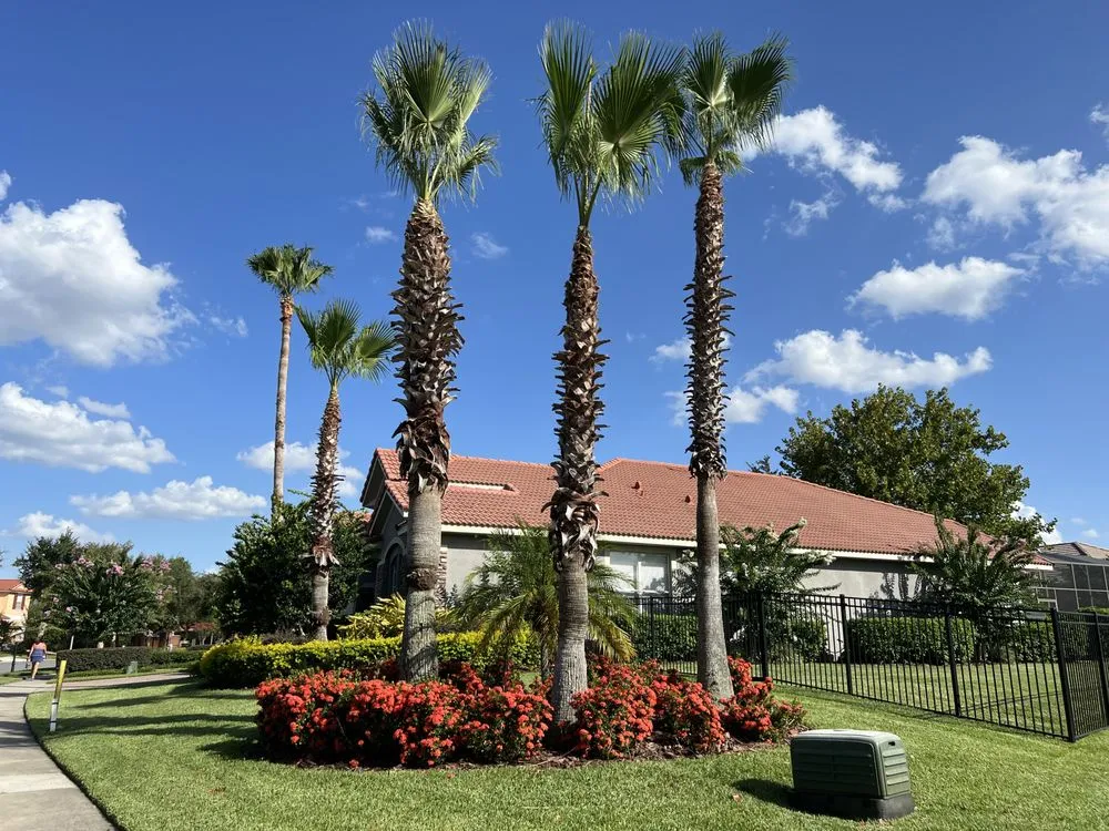 Top-rated yard maintenance in Windermere, FL - Sammy's Landscaping Services