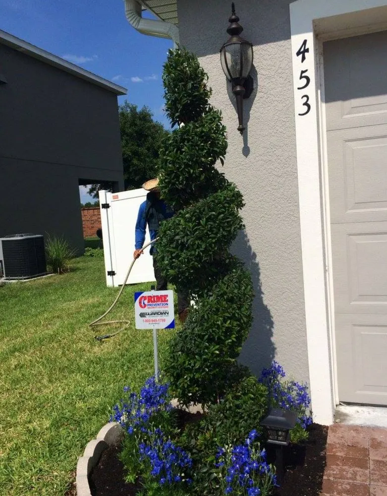 Affordable landscape installation in Windermere, FL by Sammy's Landscaping Services