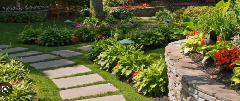 Top-rated lawn care service for outdoor upgrades in Windermere, FL by Sammy's Landscaping Services