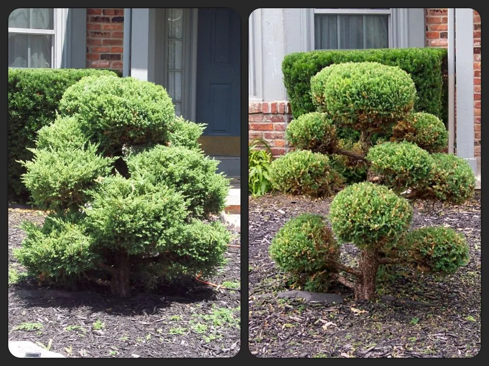 Custom landscape installation for homes across Sylvania, OH - Sammy's Lawn Service