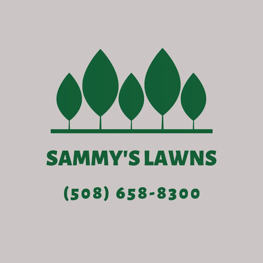Professional yard maintenance for homes in Ashland, MA by Sammy's Lawns