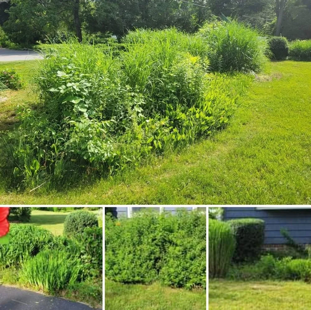 Affordable garden landscaping in Ashland, MA - Sammy's Lawns