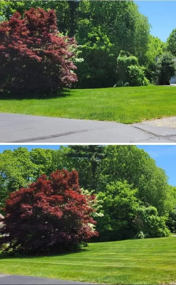 Custom yard cleanup service near you in Ashland, MA by Sammy's Lawns