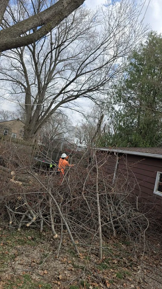 Affordable yard cleanup service for year-round maintenance in Beloit, WI by Sammy's Removal