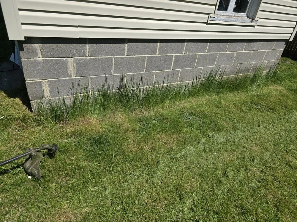 Affordable landscaping services in Beloit, WI - Sammy's Removal